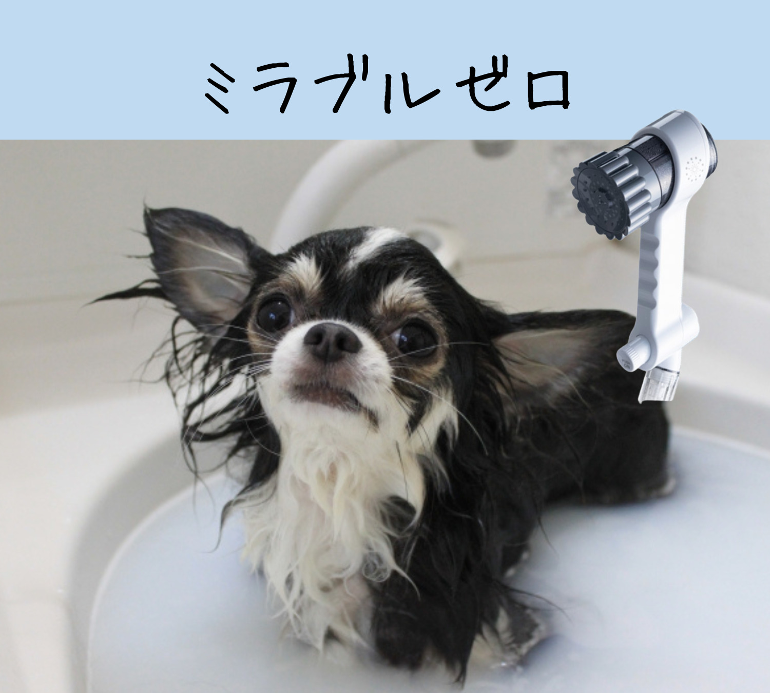 ミラブルゼロは犬の臭いへの効果はどれくらい？全く臭わなくなる？